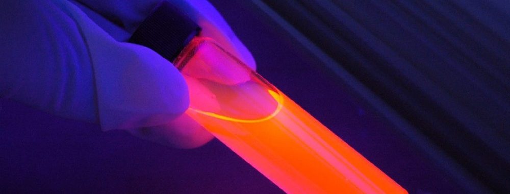 Analyse et perspectives du marché de la santé