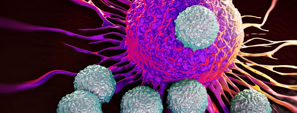 Accélération des fusions-acquisitions outre-Atlantique suite à la réforme fiscale