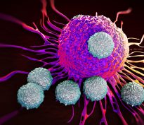 Accélération des fusions-acquisitions outre-Atlantique suite à la réforme fiscale