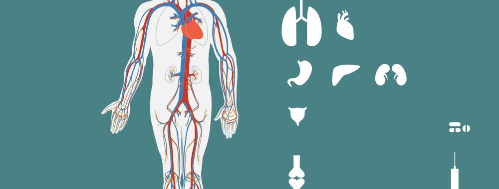 Comment se porte le secteur de la santé?