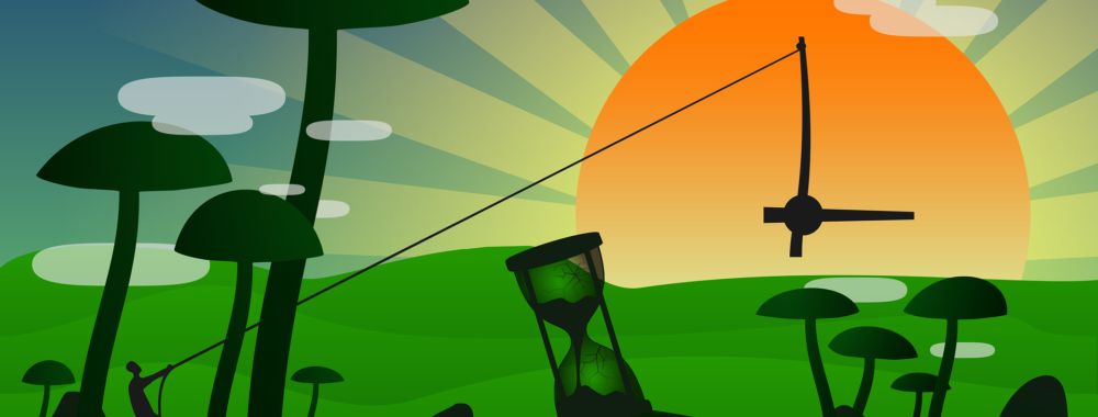 Dans le monde de l’investissement « small » peut être « beautiful »