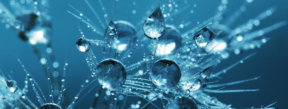 La volatilité: un virus, une bulle ou les deux?