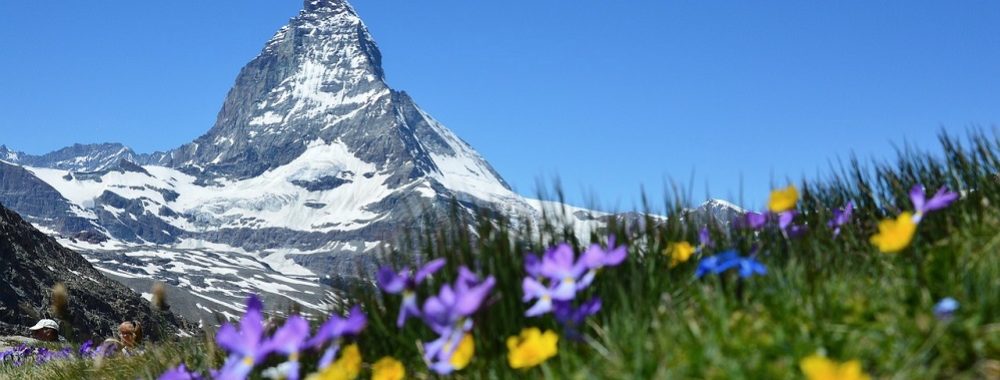 La forte croissance des investissements durables se poursuit en Suisse