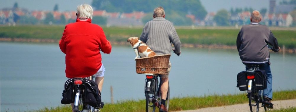 La Silver Economy ou la démographie comme thématique d’investissement