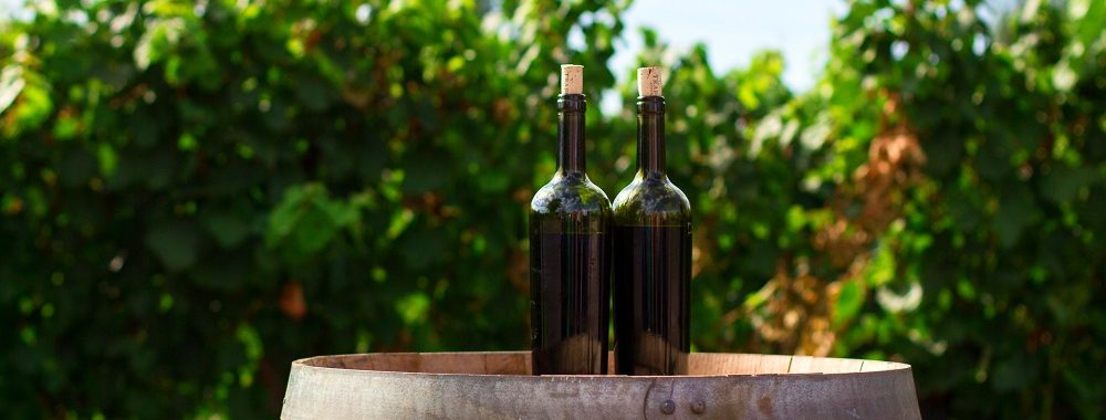 Syrah 2017, élevée en barrique, Clos des Pins, Marc Ramu, Dardagny