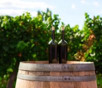 Syrah 2017, élevée en barrique, Clos des Pins, Marc Ramu, Dardagny