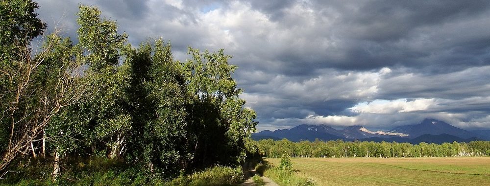 Perspectives 2018 et Marchés: point de milieu d’année