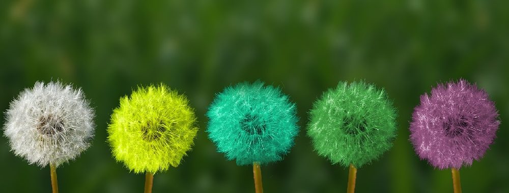 Les facteurs ESG sont bien plus qu’un instrument de prévention des risques