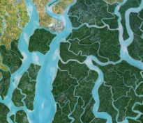 Petites capitalisations et opportunités d’investissement