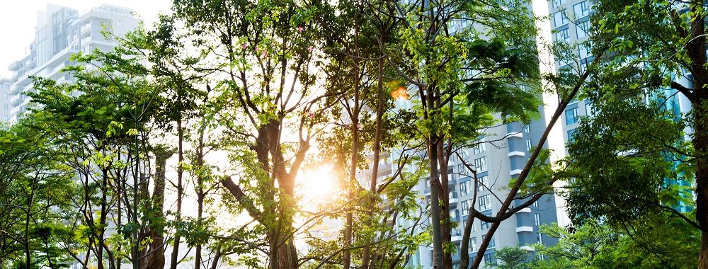 Actions ISR: banques centrales, décarbonisation, économie circulaire – actualités et opportunités