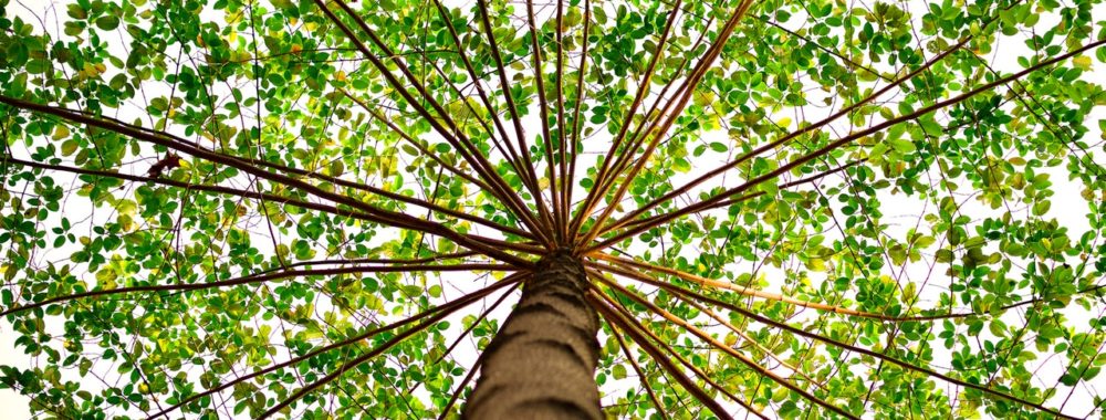 Bien intégrer l’ESG à sa sélection de fonds reste un défi