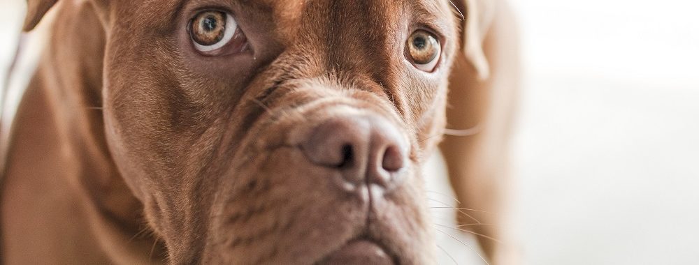 Une faiblesse conjoncturelle sournoise guette les marchés financiers