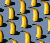 Y en a marre du benchmark