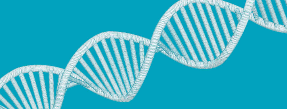 Robeco met en place une plateforme de partage des connaissances pour les professionnels de l’investissement