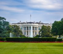 “Donald in da House”, la téléréalité du président Trump