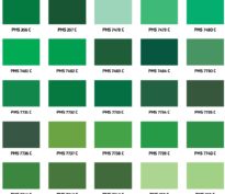 Rupture de stock de peinture verte