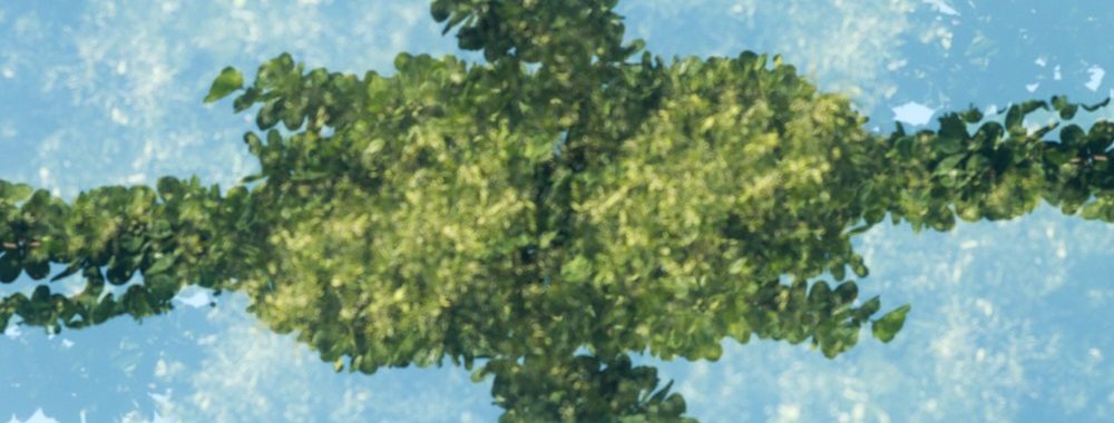 Thematics AM signe les UNPRI