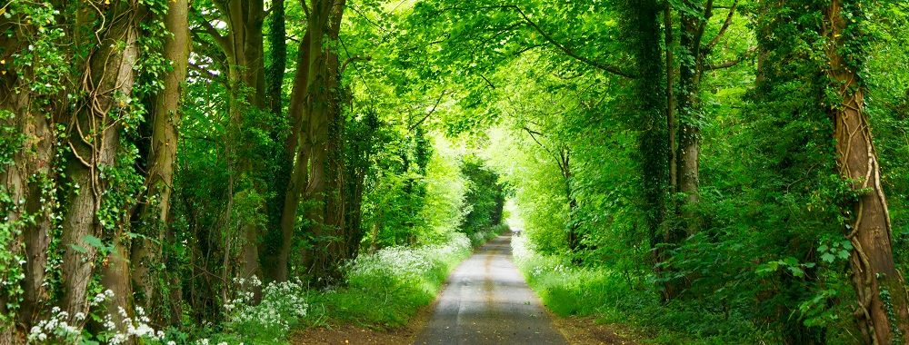 ESG, un engagement vertueux pour notre gestion convertibles