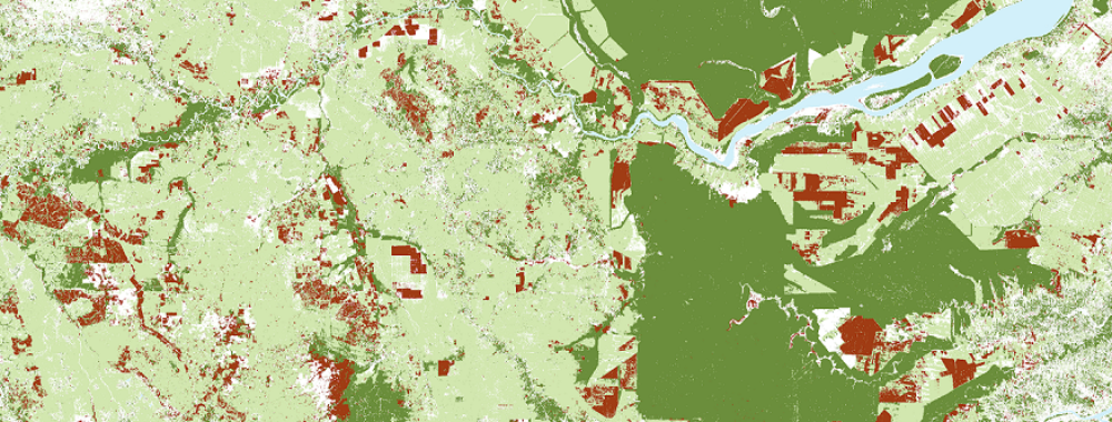 La déforestation sous l’œil des satellites