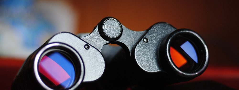 Perspectives 2020 – Optimistes, mais potentiel haussier limité