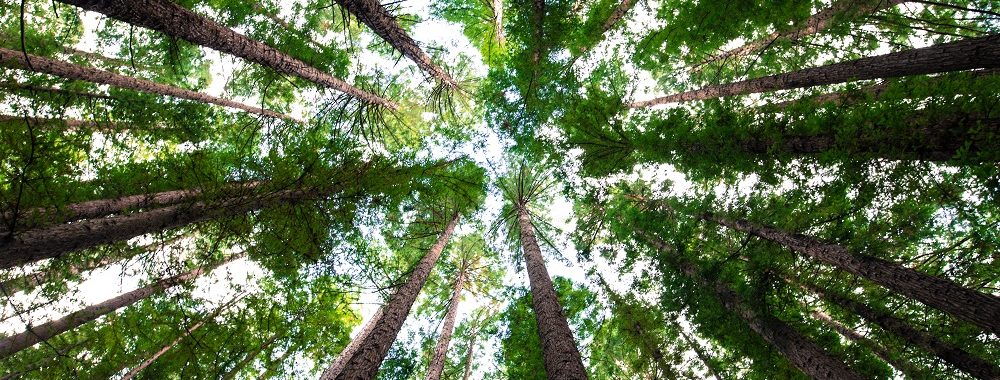 La pression en faveur de l&rsquo;investissement durable augmente