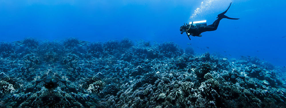 Tenir le cap en misant sur les entreprises affichant une croissance de qualité