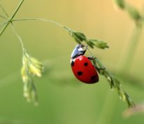 Il est temps de switcher sur les small & mid cap!