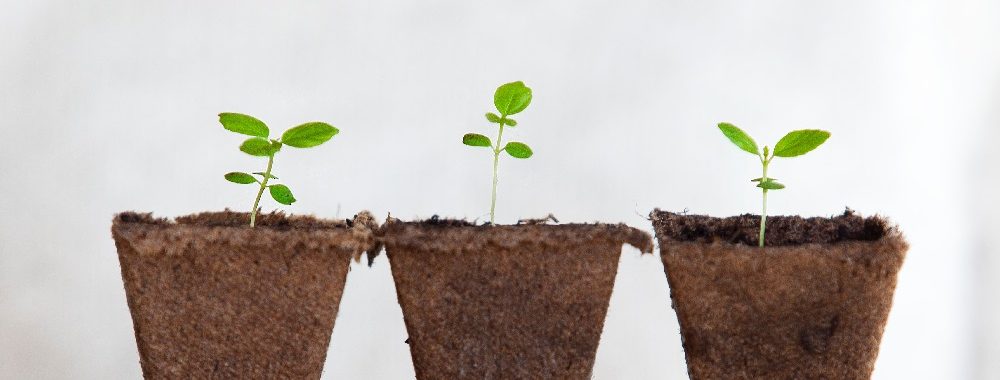 Lancement par GSAM de Global Environmental Impact Equity Portfolio