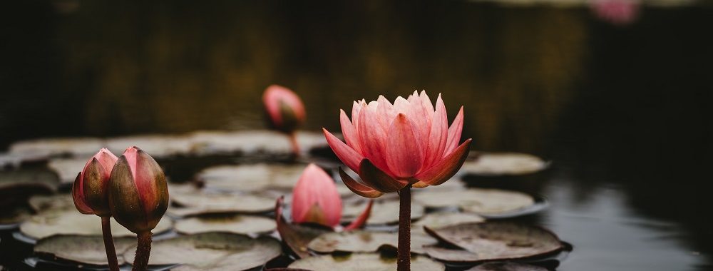 Les obligations gouvernementales chinoises, un havre de paix