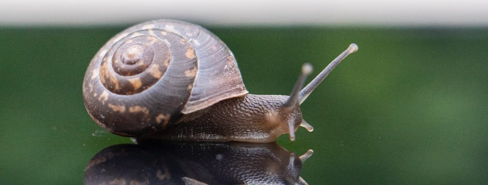 Les sélectionneurs de fonds semblent préparés au ralentissement de l’économie mondiale