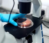 COVID-19: comprendre les implications scientifiques et en matière d’investissement