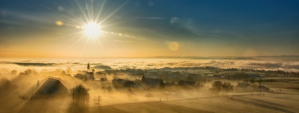 «Résilience»: capacité d’un écosystème à se rétablir après une perturbation extérieure