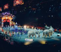 Le grand cirque mondial va reprendre, comme avant mais en pire