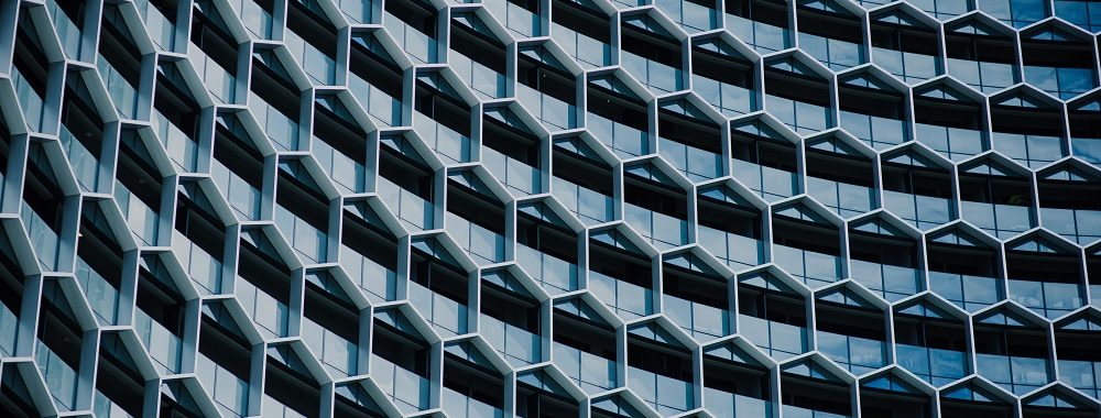 Mt Pelerin a tenu sa première assemblée générale sur la blockchain
