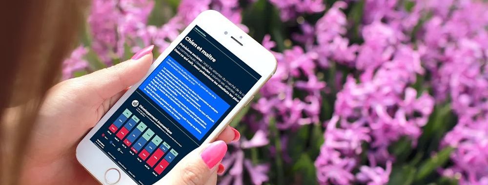 Comment la communauté clevercircles perçoit les marchés en juin 2020