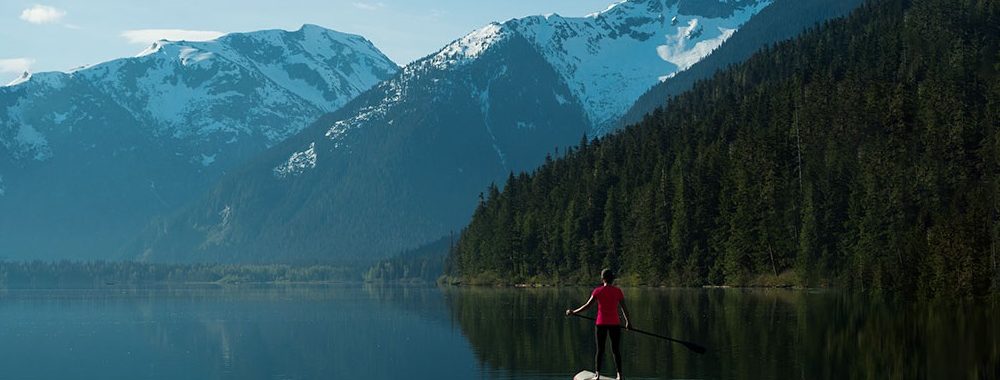 Les conseillers financiers anticipent un repli modéré des marchés boursiers en 2020