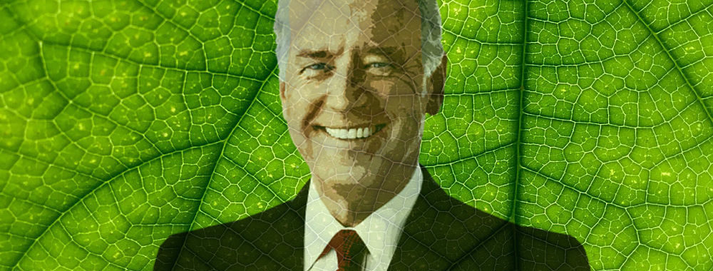 Joe Biden, quelles propositions pour la transition écologique?