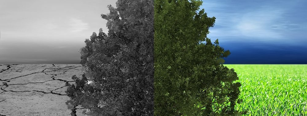 Robeco ambitionne d’atteindre «zéro émission nette» à l’horizon 2050