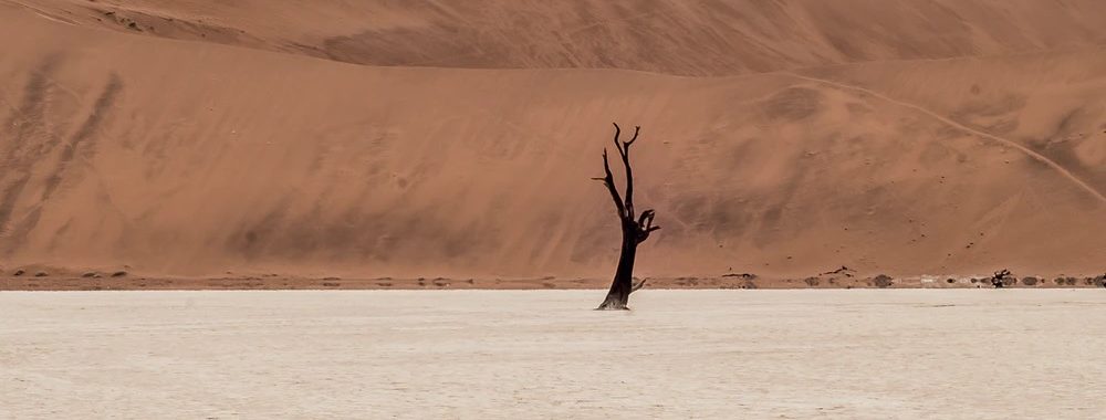 Investissement et urgence climatique