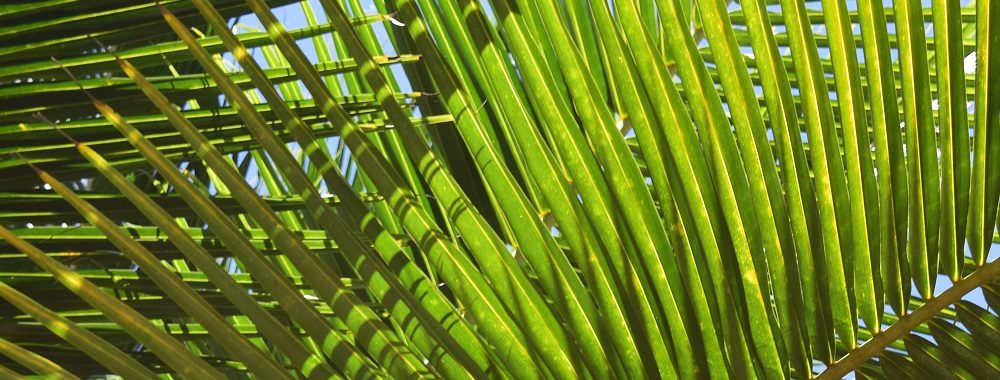 Les obligations liées au développement durable: faut-il souhaiter le pire?