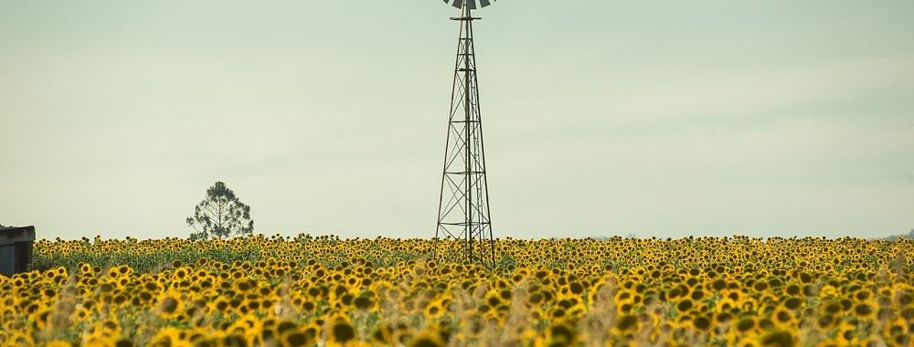 La Financière de l’Echiquier se dote d’une stratégie climat  et renforce sa politique charbon