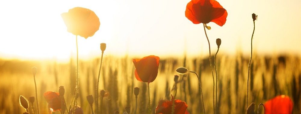 La gamme de fonds ODDO BHF Polaris intègre désormais une approche ESG significative