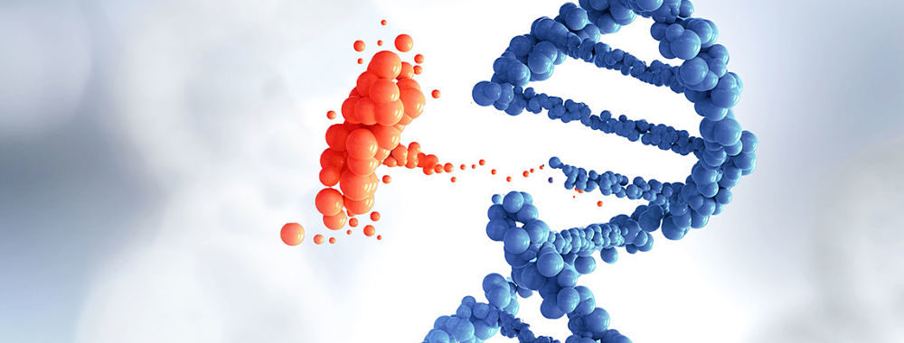 Investir dans la révolution génomique