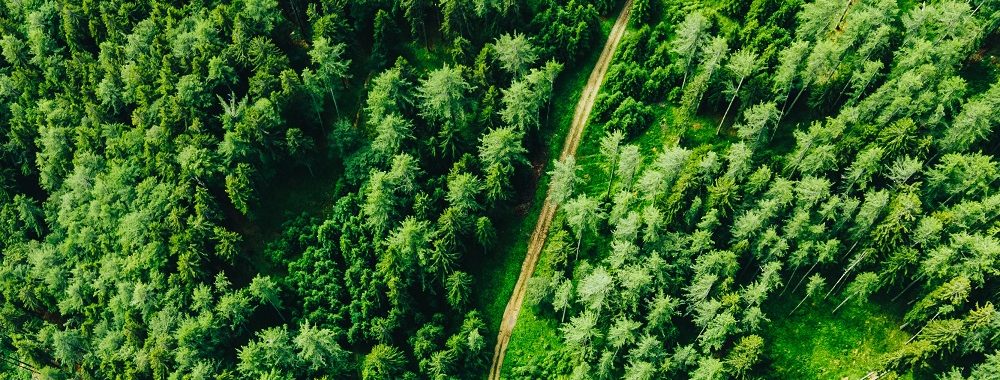 Anaxis EM 2024, un fonds responsable sur les pays émergents
