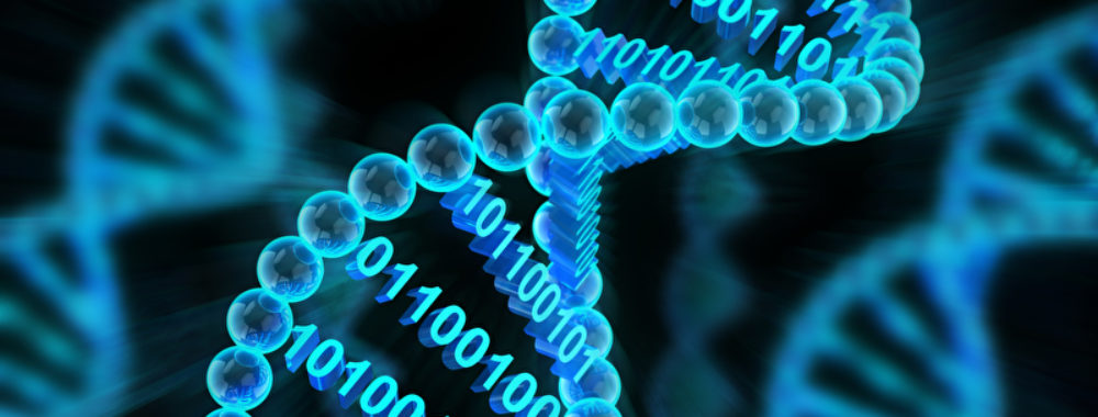 L’ADN d’une gestion de fortune réussie