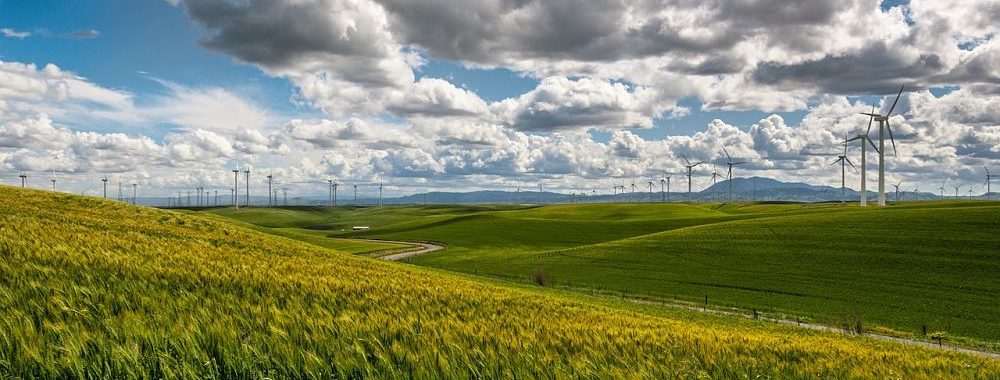 L’investissement à impact, crucial pour l’avenir