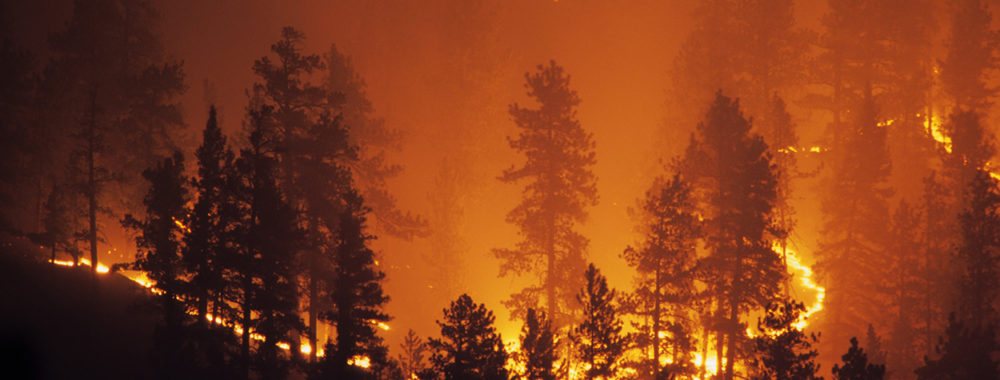 Face à l’urgence climatique, le secteur de l’investissement peut faire la différence