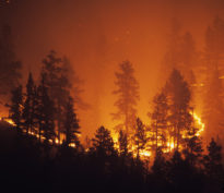 Face à l’urgence climatique, le secteur de l’investissement peut faire la différence