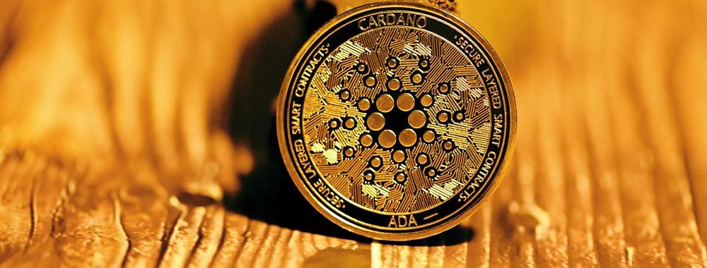 Cardano devient intelligent!