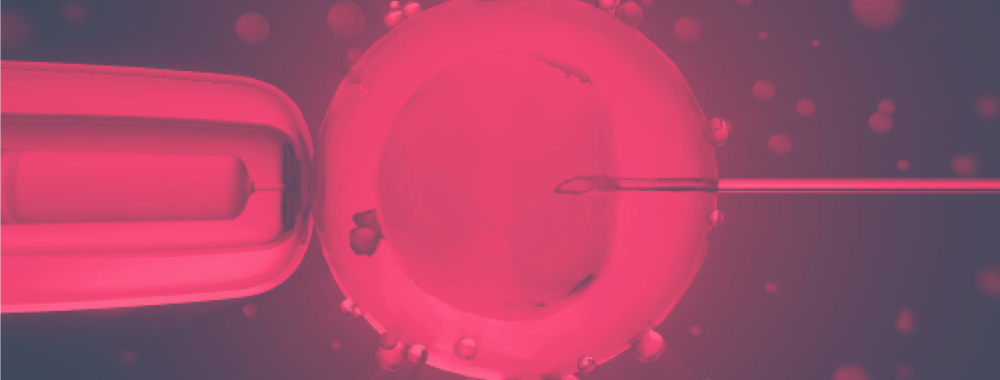Les biofonderies, accélératrices d’innovation